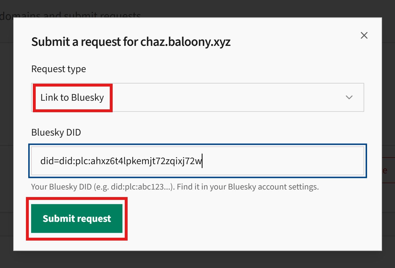 DNS management screenshot